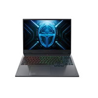 ThundeRobot 雷神 猎刃16 2024款 十四代酷睿版 16英寸 游戏本 灰色(酷睿i7-14650HX、RTX 4070 8G、16GB、1TB SSD、2.5K、165Hz)