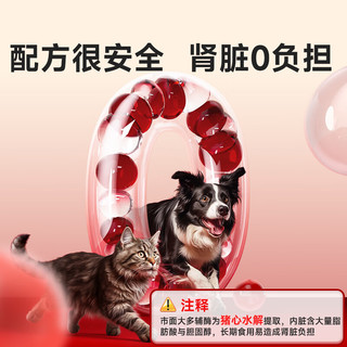 谷登宠物辅酶q10 老年狗狗猫咪保护心脏健康犬用辅助调理心脏