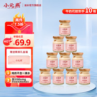 小元燕鲜炖浓郁纯牛奶花胶小圆瓶开盖即食鱼胶营养代餐粥下午茶滋补胶原蛋白滋养补品女性礼盒装 【1箱周套餐】牛奶花胶