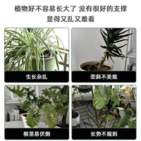 深邦植物爬藤架花架固定器葡萄架黄瓜月季固定架防倒杆园艺支撑杆