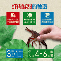 【李佳琦】文和友老长沙香辣麻辣虾尾600g口味虾4-6钱