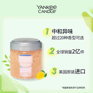 扬基（YANKEE CANDLE）美国扬基车内除味剂 车载香薰汽车除臭空气清新剂除异味母婴可用 【悬崖日出】果香调