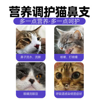 猫氨片猫鼻支赖氨酸片vc猫胺猫咪用打喷嚏流眼泪安粉膏营养保健品 阳光鸟-赖氨酸片【1瓶】200片/瓶