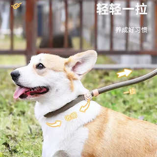 华元宠具（hoopet）狗狗绳子防爆冲P链子P绳牵引绳项圈大型中小型犬狗链防挣脱溜遛狗