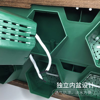 立体多层墙上创意相框挂墙挂壁绿萝花架自吸水免打孔水培壁挂花盆