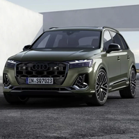 Audi Sport SQ7 24款 4.0T 标准版