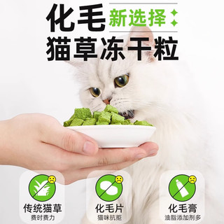 熊熊良铺猫草冻干猫草粒化毛球片磨牙猫草棒排毛猫零食薄荷饼干猫咪猫草片 【实发约270粒】升级款100g