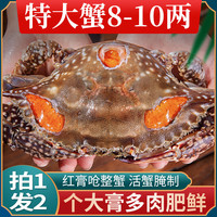 舟山红膏呛蟹整只酱母蟹宁波炝蟹梭子蟹咸蟹生腌螃蟹海鲜醉蟹即食 【单只4-6两,拍1发2】性价比款