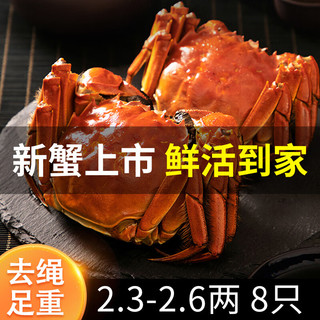 XIAN YAO 鱻谣 大闸蟹鲜活螃蟹 全母2.3-2.6两 8只装