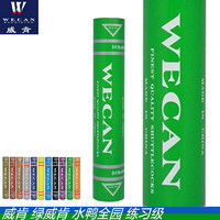 WECAN 威肯 羽毛球俱乐部比赛业余训练精选飞行稳定耐打比赛金威肯 绿威肯（耐打）一筒 1筒