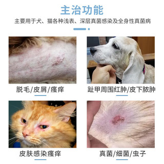 伊曲康唑12粒猫癣猫咪狗藓红肿瘙痒皮肤结痂病抗真菌感染用口服药 单板6粒无盒