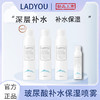 LADYOU【2.0】护肤洋甘菊玻尿酸补水保湿喷雾通用爽肤 300ml两瓶 0