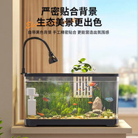 阔庭 KUOTING鱼缸乌龟缸家用客厅办公室金鱼过滤 挂篮款鱼缸【30黑色】