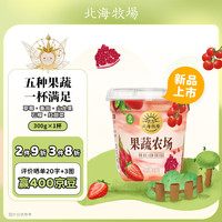 北海牧场果蔬农场草莓番茄火龙果石榴红甜菜 5种果蔬 300g*1杯 低温酸奶