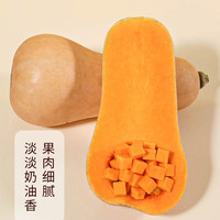 蹊蹊的小菜园 正宗奶油小南瓜5斤当季新鲜农家老南瓜