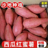 TANWEIJUN 探味君 西瓜红蜜薯 板栗红薯农家沙地番薯地瓜 新鲜蔬菜带箱 5斤 中果