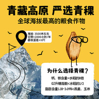 HiBARLEE青稞植物奶0添加蔗糖高钙高膳食纤维 早餐燕麦奶黑芝麻味