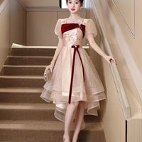 粉柔FERWOVEOL订婚衣服女夏季敬酒服新娘平时可穿香槟色小礼服2024小众高级 香槟色 M