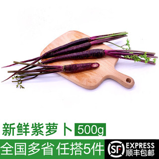 绿食者 新鲜紫胡萝卜500g 水果黑胡萝卜 西餐沙拉食材生吃蔬菜
