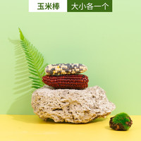 宠乐侠仓鼠磨牙棒宠物零食骨头耐咬仓鼠金丝熊龙猫豚鼠洁齿骨除口臭补钙 玉米棒（大小各一个）