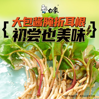 BAIXIANG 白象 折耳根拌面 177g*5袋