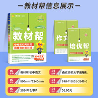 2025新初中教材帮七八九年级上下册人教版苏科沪科语文数学英语物理化学政治历史生物地理课本全套初一二三教辅教材资料全解2024