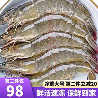 喜鲜德 当季海捕 大号 新鲜大虾 净重无冰   国产白虾青虾 【大号3斤装】单只13-16厘米