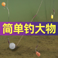 挺派（TINGPAI） 欧式鲤钩钓组反底钓法欧鲤浮球钩组反离底海竿抛杆垂钓巨物线组 欧式鲤钩串钩钓组10组装 8号