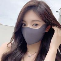 靓魅姿护眼角防晒口罩女2024夏季全脸防晒面罩透气可清洗防紫外线 小冰皮深灰色 2只