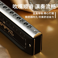 天鹅半音阶口琴12孔10C调十二专业演奏级初学者入门练习