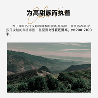 M2M蓝莓深色花 哥伦比亚苏丹汝魅手冲浅烘焙美式黑咖啡豆精品