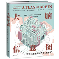 大脑信息图：3D版大脑运行原理！可视化多维探秘人体黑匣子！男女大脑为什么不同！