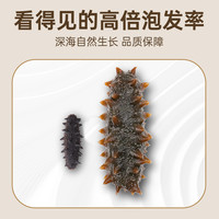 【辽参】海参干货大连底播260g干海参 辽刺参