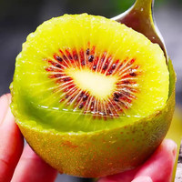 chunrui 春瑞 四川红心猕猴桃 大果24枚（90~110g左右）