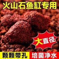 火山石颗粒鱼缸兰花多肉颗粒土盆栽水族造景火山岩营养土铺面