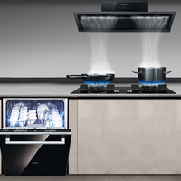 西门子厨电套装 15套黑魔镜嵌入式洗碗机+吸油烟机灶具套装（天然气） 636ProMax+LSVT1B3BNW+ER8KJF23MP