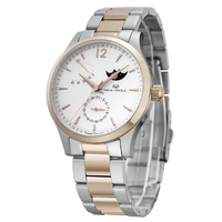 SEA-GULL 海鸥 40.5毫米自动上链腕表 217.423 间金款