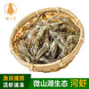 猫扑鱼（mao pu yu） 微山湖淡水小河虾（速冻）新鲜小明虾 小青虾 湖虾 中号河虾1000g（5-6cm）