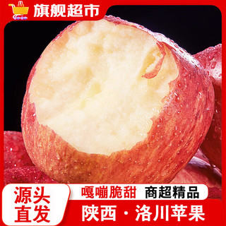 LUOCHUAN APPLE 洛川苹果 陕西洛川苹果9斤新鲜水果红富士当季包邮整箱冰糖心 【含箱9-10斤】精选果 70-80mm