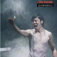 精选推荐：全国热门剧类推荐指南（五十）