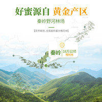 央视认证汪氏店洋槐蜜蜜枣花纯正土蜂蜜槐花蜜组合2瓶 洋槐蜜465g+雪脂莲蜜465g