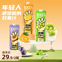 哪吒 100%青提汁1L*2瓶 果汁饮料