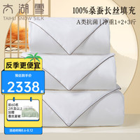 太湖雪蚕丝被芯100%双宫茧桑蚕长丝二合一子母被纯棉A类抗菌秋冬四季 子母被被重3.3+4.3+5.3丝1+2+3斤 200*230cm