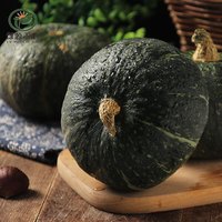 绿源禾心 贝贝南瓜 500g