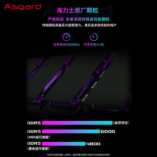 阿斯加特（Asgard）32GB(16Gx2)套 DDR5 6000 台式机内存条 RGB灯条-女武神·瓦尔基里Ⅱ代【C30】极夜黑