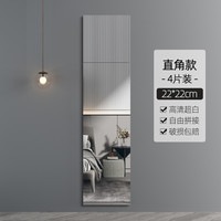 星芒家私 轻奢风镜子贴墙自粘家用穿衣镜宿舍全身镜出租屋试衣镜粘贴衣柜镜