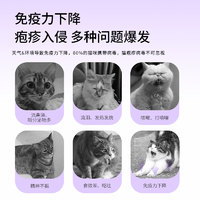 钟意Q崽 猫氨片猫胺赖氨酸猫鼻支猫咪专用打喷嚏流眼泪安粉膏营养