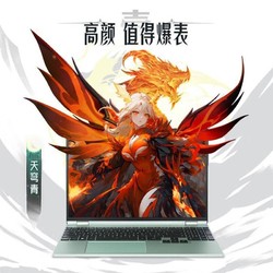 MECHREVO 机械革命 翼龙15pro天穹青 R7-8845H RTX4060 游戏笔记本电脑（R7-8845H、16GB、 512GB、 RTX4060）