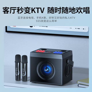 索爱（soaiy）SA-X13V-S2 电视麦克风家庭KTV音响套装一体家用电视唱歌K歌卡拉OK影院专业功放机低音炮蓝牙卡包