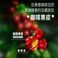 Nestlé雀巢咖啡果然轻咖即饮果茶饮料饮品白茶味410ml瓶整箱0脂肪